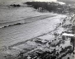 The chilean coast was devastated by a tsunami from mocha island (38° s) to aysén region (45° s). Repository Spotlight Pacific Tsunami Museum In Hilo Association Of Hawai I Archivists