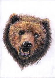 This Is A Portrait Of A Grizzly Bear It Was My Second Coloured Pencil Work And It Was So Much Fun To Grizzly Bear Tattoos Bear Paintings Grizzly Bear Drawing