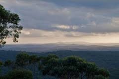 Maybe you would like to learn more about one of these? Wollemi Wilderness Cabins Wollemi Wilderness Cabins
