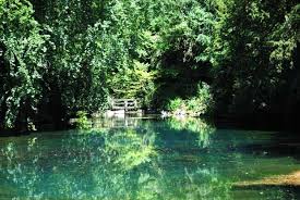 Newlands Corner And Shere Walk Planning Handheld Tours Weekends Away Day Trips Filming Locations