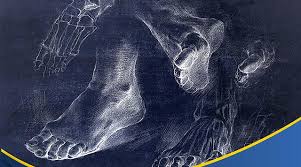 We did not find results for: Episthmonikh Dihmerida Fysiko8erapeias Ston Bolo