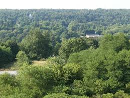 Maybe you would like to learn more about one of these? Centralia Pennsylvania Wikipedia