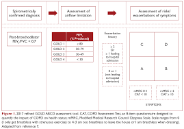 Image result for COPD Assessment Test