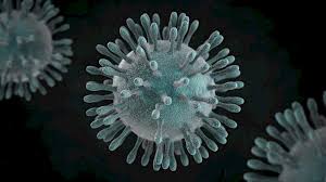 On the other hand, an rna virus that infects bacteria, called ms2, has barely 3,500 base pairs. Bescherming Tegen Virussen Deforce Medical