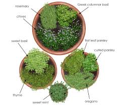 Overhead View Of Herb Garden In Containers Container Herb Garden Herb Garden Design Small Herb Gardens