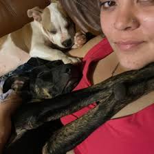 2 years ago today I received a 911 text at the butt crack of dawn (6:29am  to be exact) to help this sweet little boy!!! Happy Rescued Day Benji!!!  It's been great