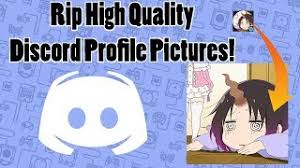The public test build is the beta version of the discord client and the middle ground between the the ptb is intended to be a way for users to help discord test new features, so it can be expected. How To Steal High Quality Discord Profile Pictures Youtube
