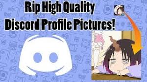 How To Steal High Quality Discord Profile Pictures Youtube All the cool kids are moving to. how to steal high quality discord profile pictures