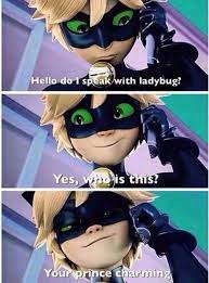 I Ll See You At Sunset Chat Noir X Reader Chapter 12 Page 2 Wattpad Miraculous Ladybug Movie Miraculous Ladybug Memes Miraculous Ladybug