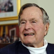 Image result for Bush