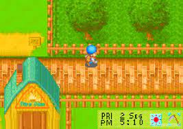 More friends of mineral town. Harvest Moon Friends Of Mineral Town Download Gamefabrique