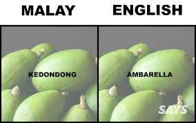 Buah sukun dapat dipanen baik ketika masih muda maupun setelah matang. What S Pandan And Ciku In English We Dug Up Translations Of 16 Produce Malaysians Love