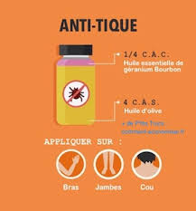 Le Repulsif Naturel Contre Les Tiques A L Huile D Olive Repulsif Insectes Insectes Repulsif