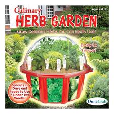 Dunecraft Dome Terrarium Culinary Herb Garden Herbgardening Herbs Culinary Herbs Herb Garden