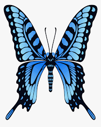 Butterflies are insects in the macrolepidopteran clade rhopalocera from on this page you can download free butterfly png images on theme: Mp Is Also Not Butterfly Wing Flap Gif Hd Png Download Kindpng