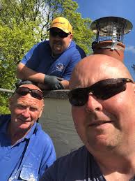 Logue family worldwide