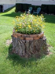 Covered with mulch, the tree stump will be invisible as it begins to rot away. Pin On Cute Ideas