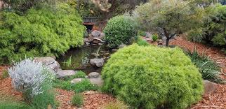 My Australian Native Garden In Suburban Geelong Australia After 10 Years The Early Shrubs Are Near Australian Native Garden Native Garden Garden Design Images