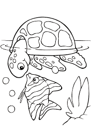 The pictures are intricate and not just simple line drawings. Advanced Turtle Coloring Sheet