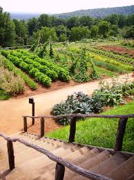 Early Colonial Garden Steps Down To The Vegetable Garden Thomas Jefferson S Monticello Colonial Garden Garden Steps Vegetable Garden Design
