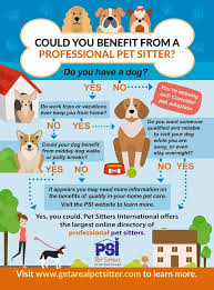 Maybe you would like to learn more about one of these? In Home Pet Sitting Pet S Best Friend