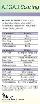 Pin On Nursing Schools