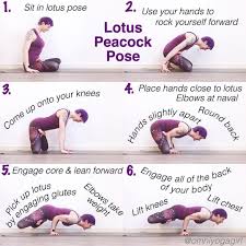 838 Mentions J Aime 112 Commentaires Laura Large Omniyogagirl Sur Instagram Lotus Peacock Pose Tutorial Omniyogagirl Peacock Pose Lotus Pose Yoga