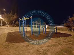 Jm bullion is a leader in online precious metals. Gold Coast Calisthenics Workout Equipment Esplanade Australia Spot