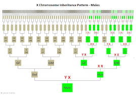 X Dnas Helpful Inheritance Patterns Genie1