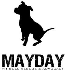 Click here to view pit bull dogs in arizona for adoption. Pets For Adoption At Mayday Pit Bull Rescue Advocacy In Phoenix Az Petfinder