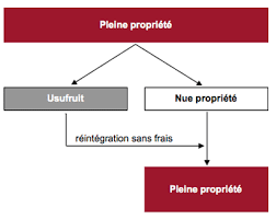 Le Demembrement De Parts De Scpi Myscpi Com Toute L Information Pour Faire Son Choix Et Investir En Parts De Scpi