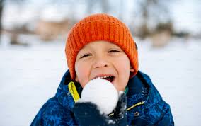 Snowball Fight Pictures