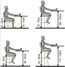 Image result for Sitting Height
