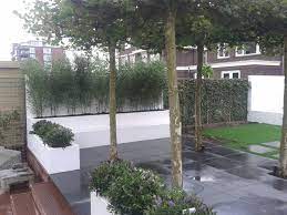 van der drift hoveniers tuin ideeen tuin