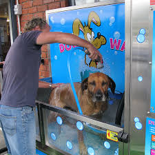 Easy dog wash station ideas at home: Home K9000 Dogwash