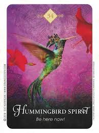 Give spirit animal readings anywhere, anytime on your ios device*. The Spirit Animal Oracle De Colette Baron Reid Cartes Oracle Tarot Tarot Divinatoire