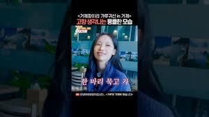 리센느 원이같은 아이돌은 첨 봤네요 - 클리앙