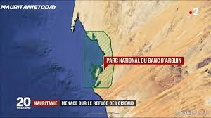 Les Ornithologues Prennent Le Large De Mauritanie Today Facebook