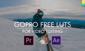 Premiere pro templates premiere pro presets motion graphics templates. 30 Free Cinematic Luts For Color Grading In Adobe Premiere Pro
