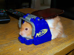 Nerf Hamster Imgur