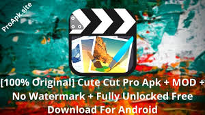 Now, you can draw movies, and you can draw in the movies! 100 Original Cute Cut Pro Apk Mod No Watermark 2020