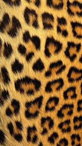 Find the best pictures of cheetah print wallpaper on wallpapertag. Cheetah Backgrounds For Iphone Group 45