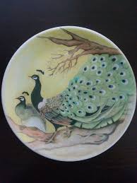 30 Cm Cini Tavus Kusu