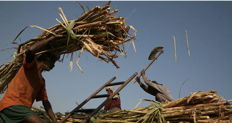 Hidden in Plain Sight: the Tragic Reality of Bonded Labor – Berkeley  Economic Review