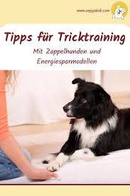 Glaubst Du Auch Dass Dein Hund Einen Trick Erst Zu 100 Konnen Muss Bevor Ihr Mit Dem Nachsten Anfangen Konnt Ich Erklare Hundetricks Hunde Tricks Fur Hunde