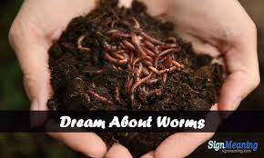 Dreams About Worms Meaning And Interpretation