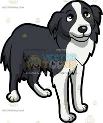 Black And White Collie Dog Clipart A Beautiful Border Collie Puppy Border Collie Puppies Puppy Cartoon Collie Puppies