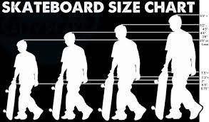 Skateboard Size Chart Skateboard Accessories Skateboard