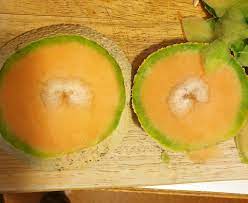 Does Anyone Know What This White Patch In My Cantaloupe Is R Fruit