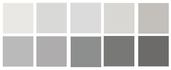Dunn Edwards Faded Gray Dew 382